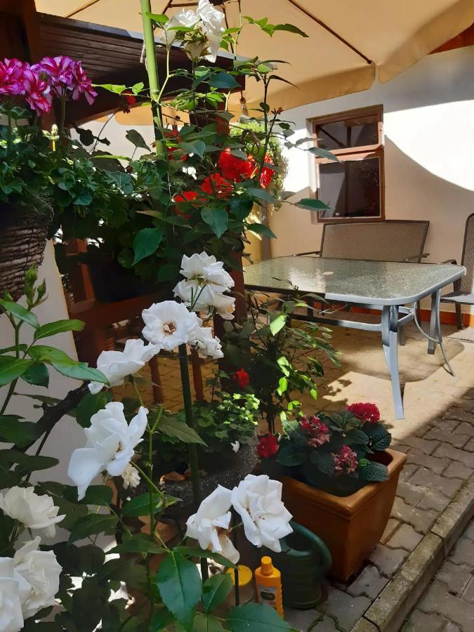 Apartmán U Pani Malirky Valtice Exteriér fotografie
