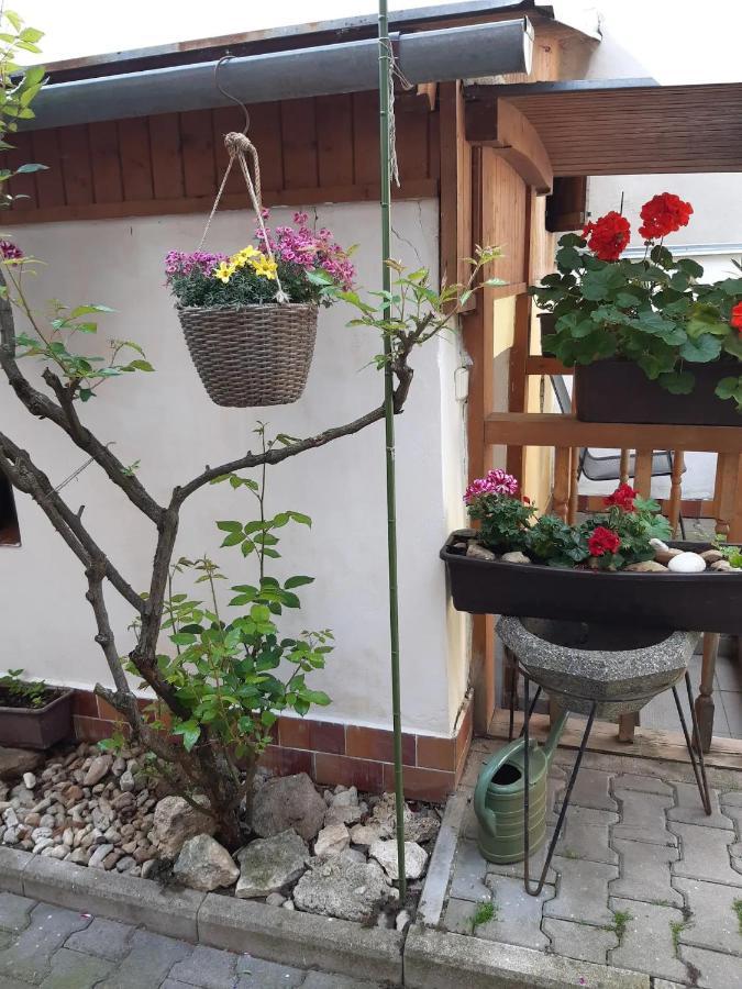 Apartmán U Pani Malirky Valtice Exteriér fotografie