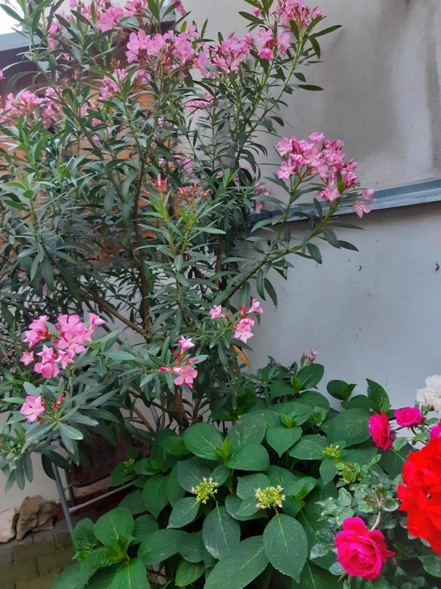 Apartmán U Pani Malirky Valtice Exteriér fotografie